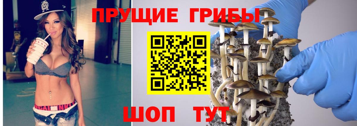 наркотики  Вход с VPN  Псилоцибиновые грибы GOLDEN TEACHER  Щёлково  Псилоцибиновые грибы мицелий 